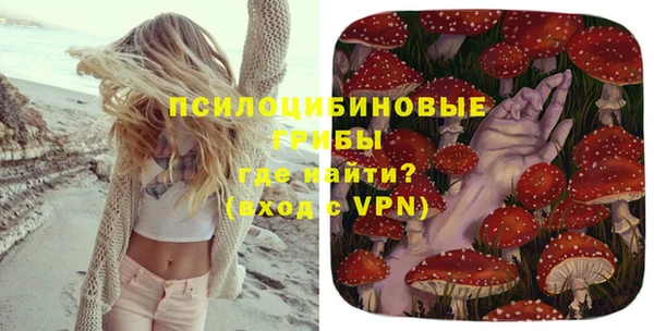 дмт Алзамай