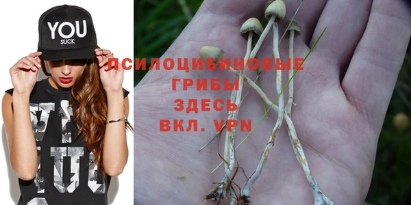 тгк Алексеевка