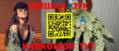 индика Шелехов