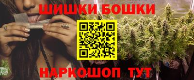 индика Шелехов
