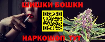 индика Шелехов