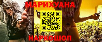 индика Шелехов