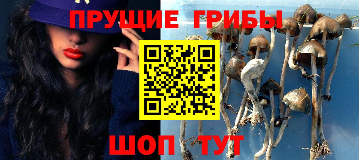 Анжеро-Судженск  Галлюциногенные грибы мицелий  Вход с VPN  Псилоцибиновые грибы Cubensis 